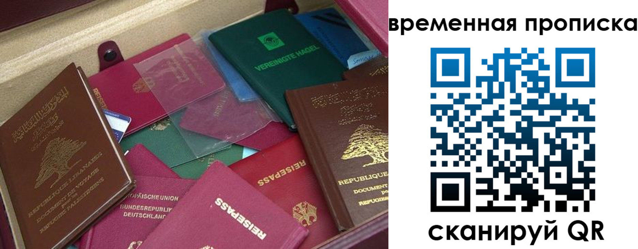 прописка в Кирсе